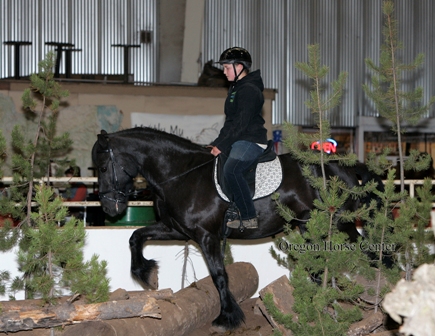 Barnabas at Oregon Horse Center Trail competition