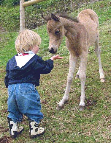 2 day old meets 2 year old