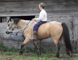 Jonathan riding Cassie bareback with halter