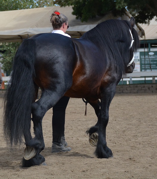Copper at the 10th M and M show in CA