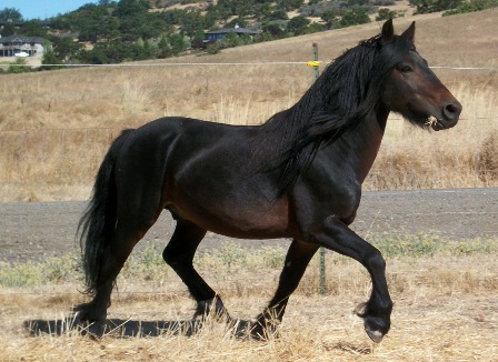 Copper in motion