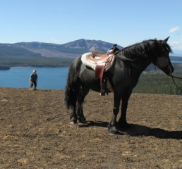Margie on a recent trail ride