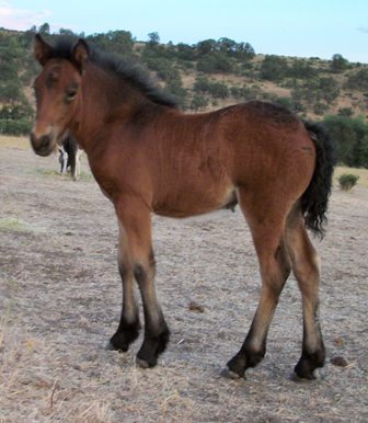 Ruby as a baby