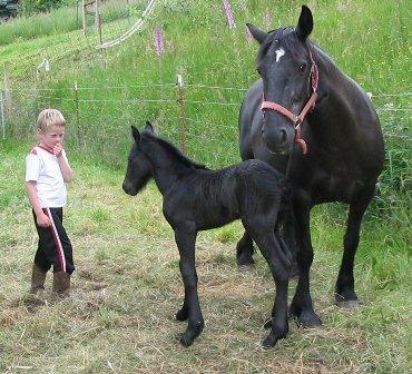 Sampson with Jonathan