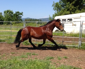 Tammy rouind penning in May