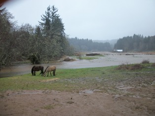 West pasture